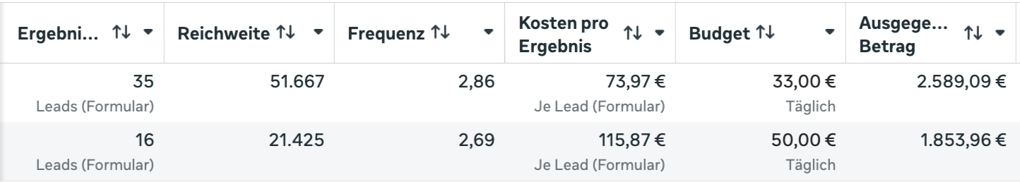 Meta-Werbeanzeigenmanager: Angela Krause Nürnberg — Leads und Kosten pro Lead