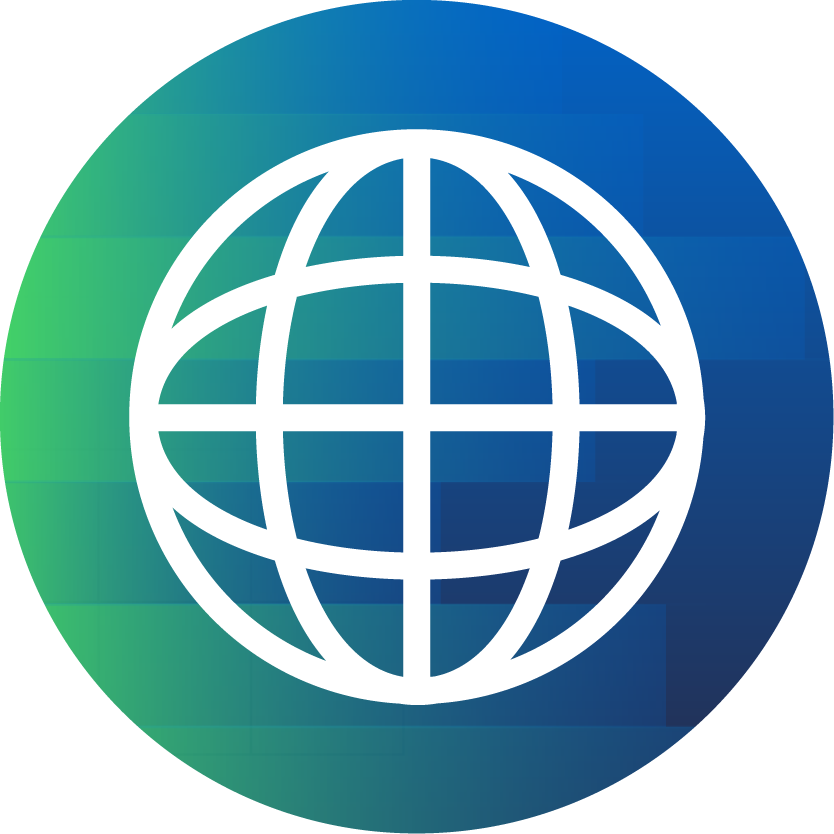 Network icon
