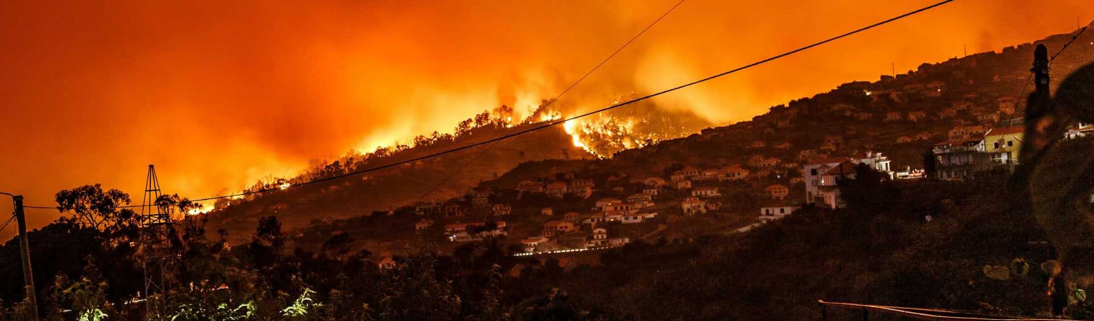 Rhizome Warns of Growing Wildfire Risk as Research Capacity Declines