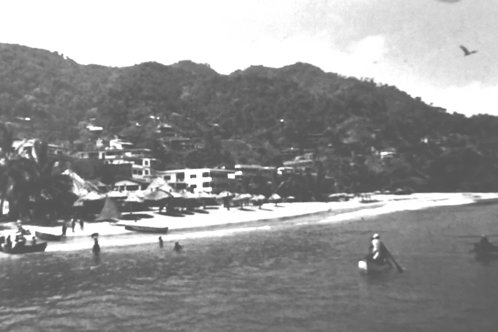 The original thatched palapa roof and tropical setting at La Palapa, Puerto Vallarta