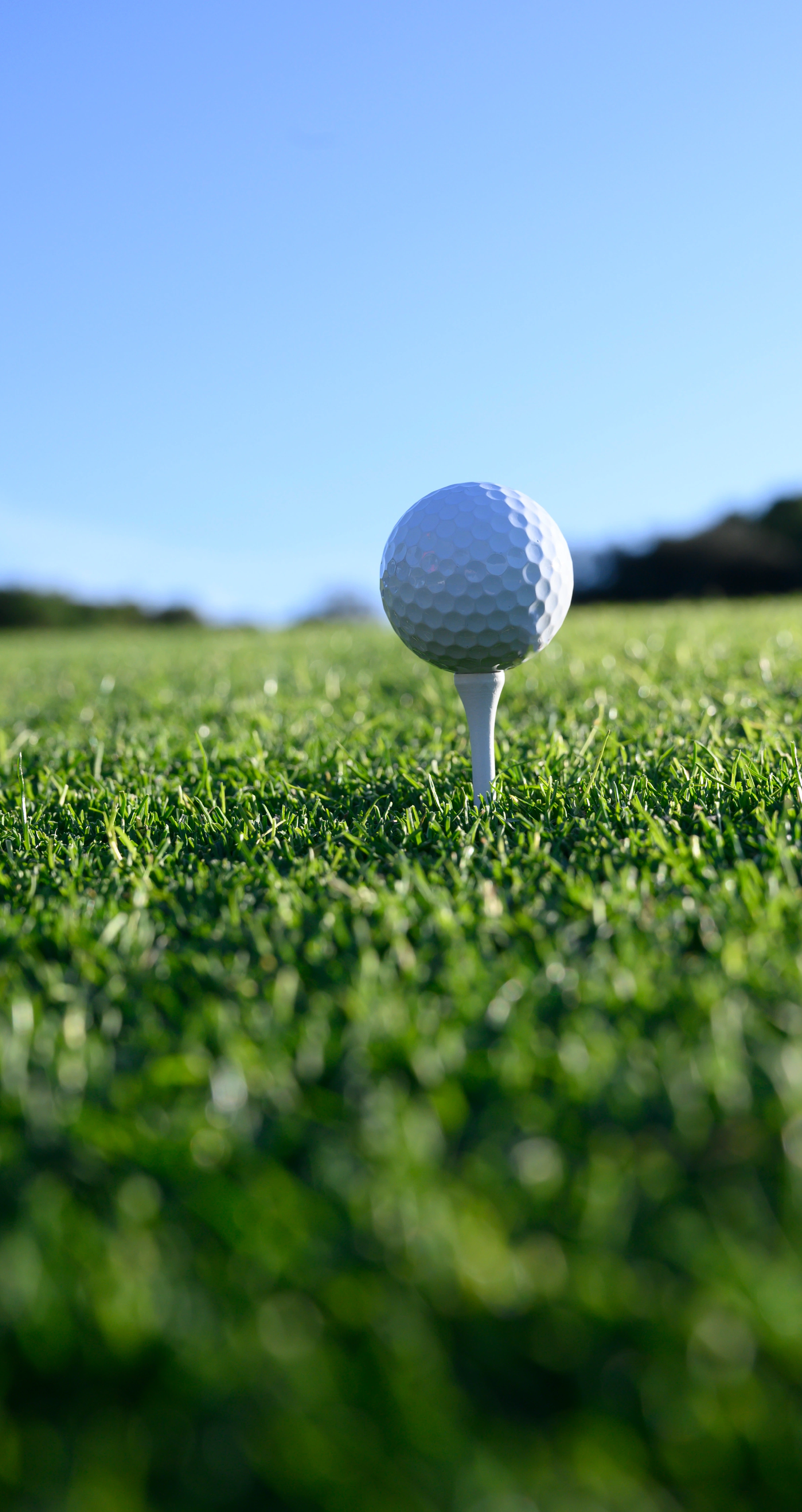 Campo de golf. Candé at Real del Mar