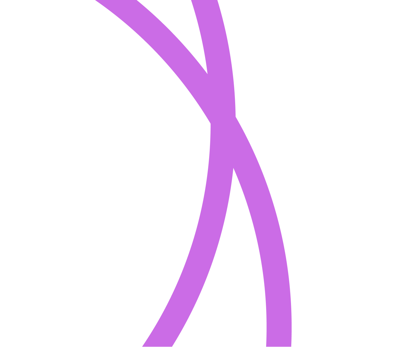 Zedbridge Logo