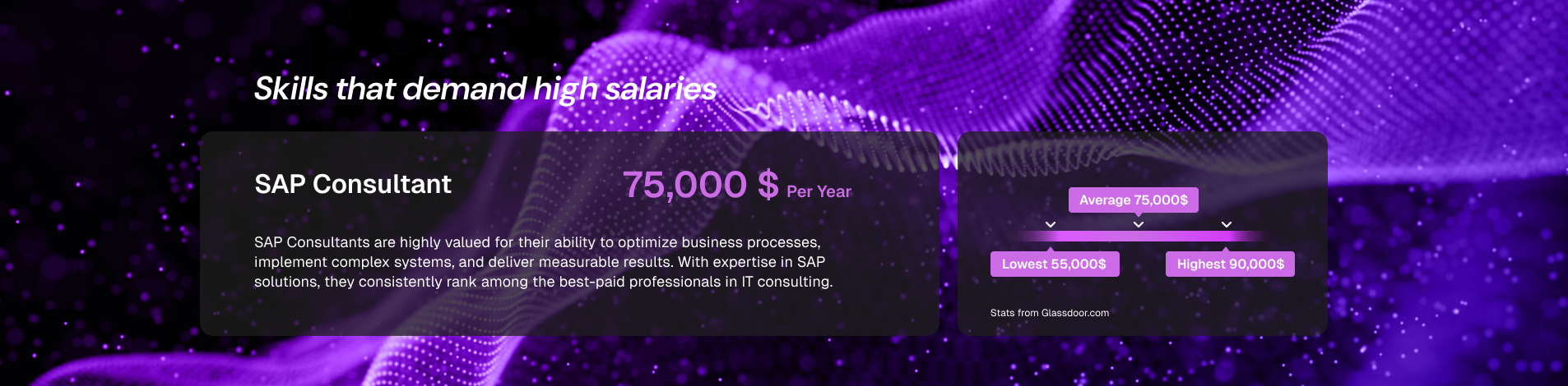 Career Expectation for SAP Consultant