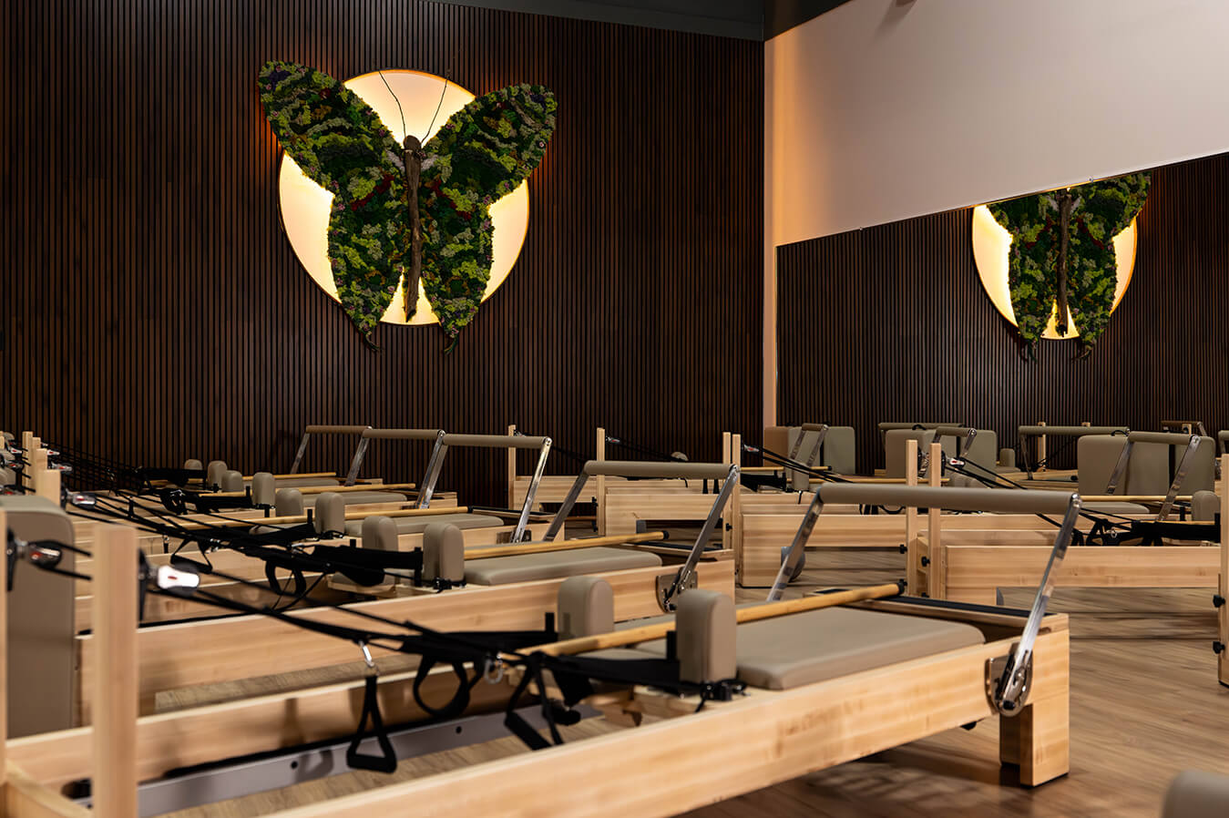 [background image] image of fitness setting (for a gym)