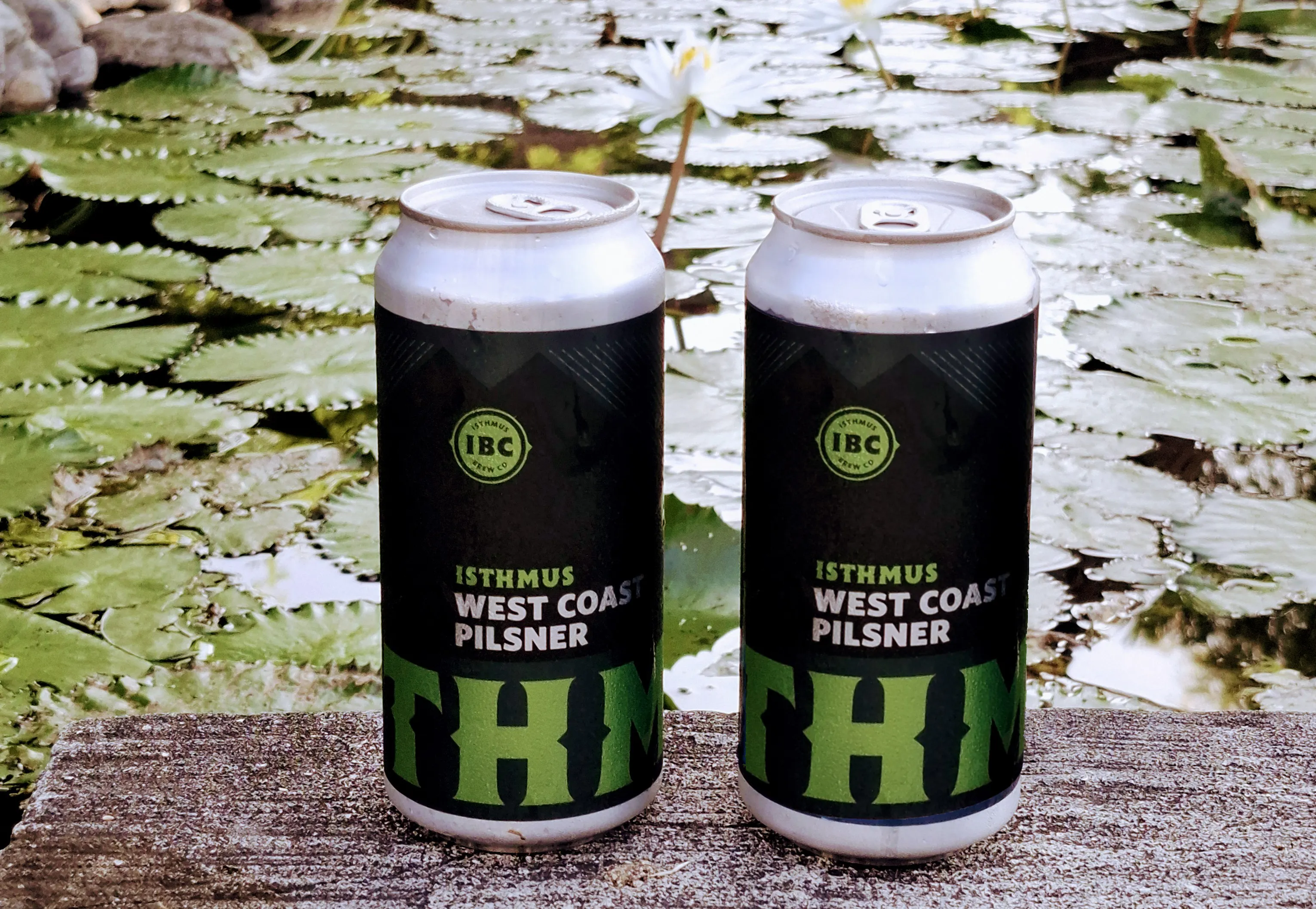 Two cans of craft beer labeled "Straight West Coastin" are placed on a wooden surface with a background of a pond covered in green lily pads.