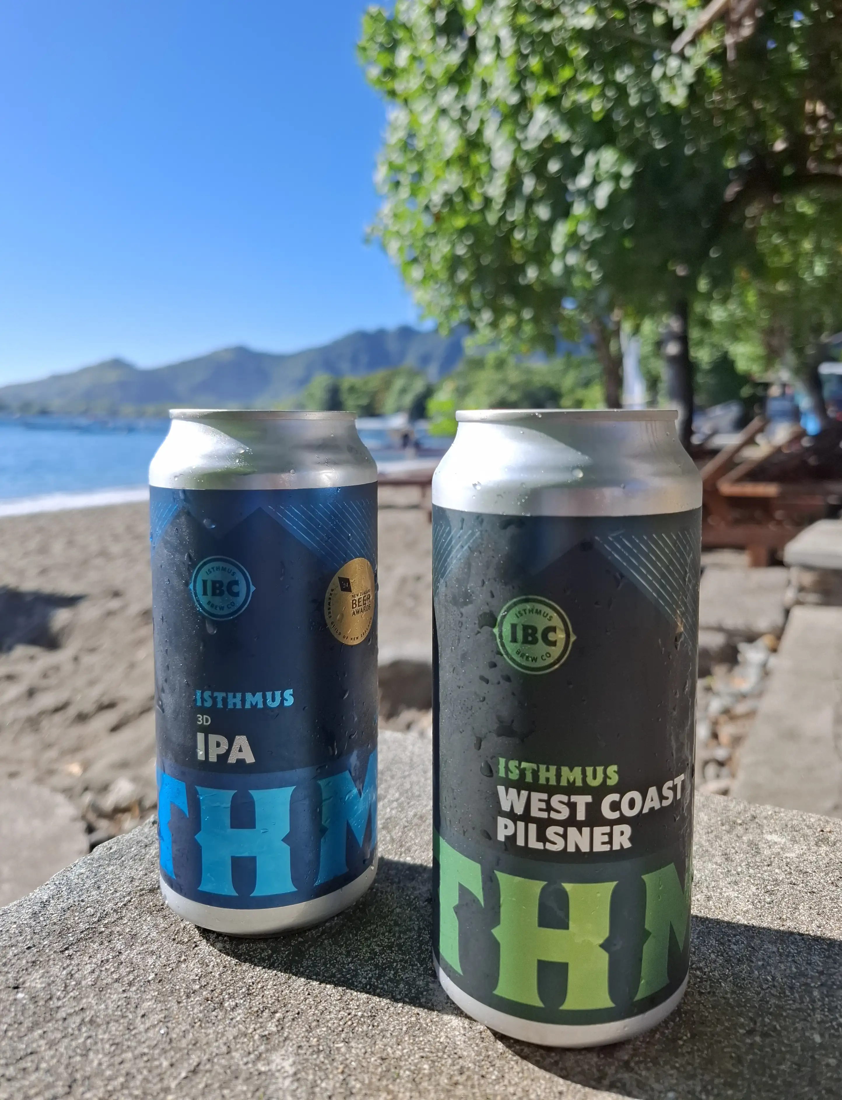 Two cans of craft beer sit on a stone surface by a lakeside beach, with clear blue sky, trees, lounge chairs, and distant mountains visible in the background.