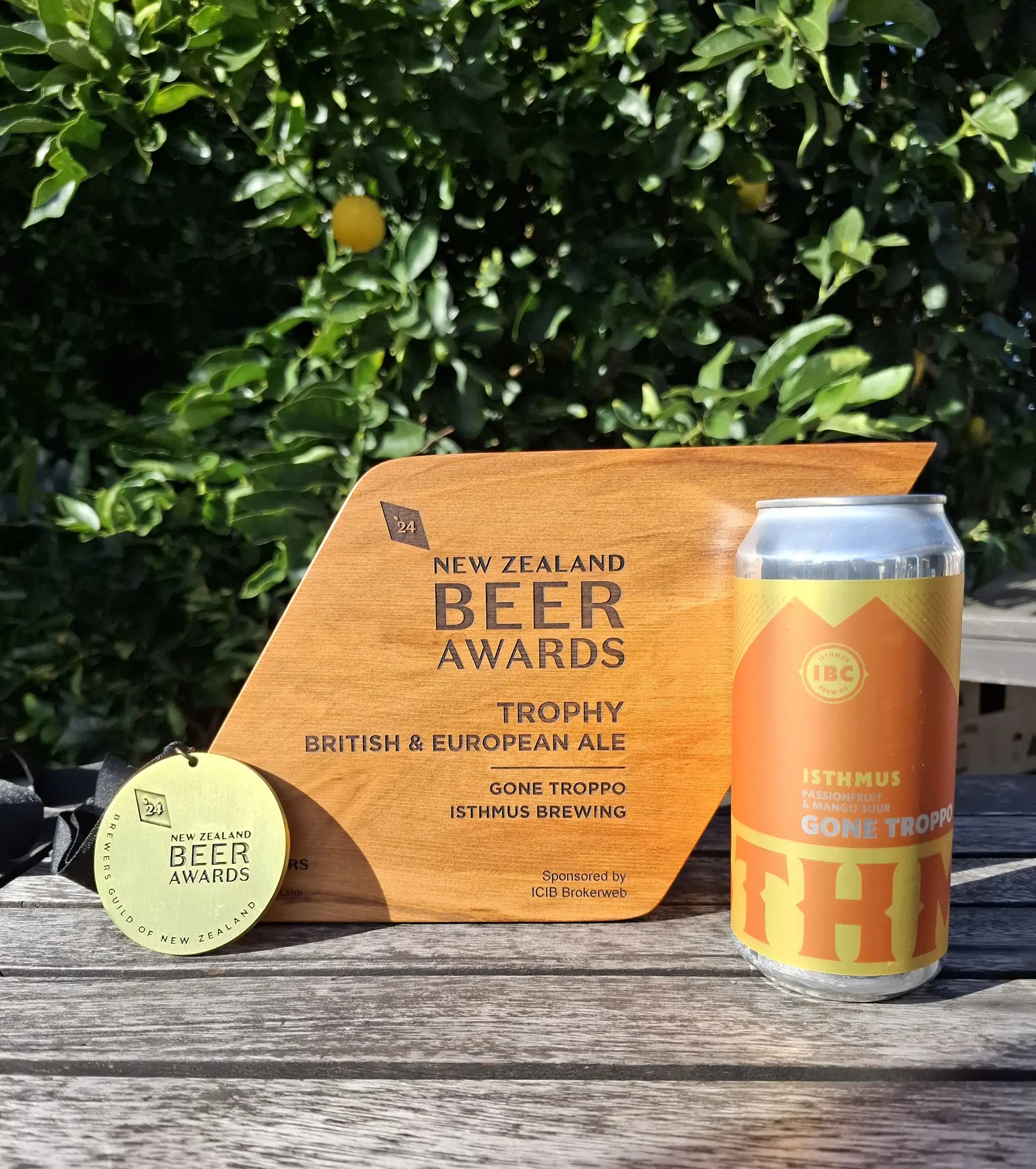 A gold beer award plaque, a can of craft beer, and a small round item are displayed on a wooden surface outdoors with green foliage in the background.