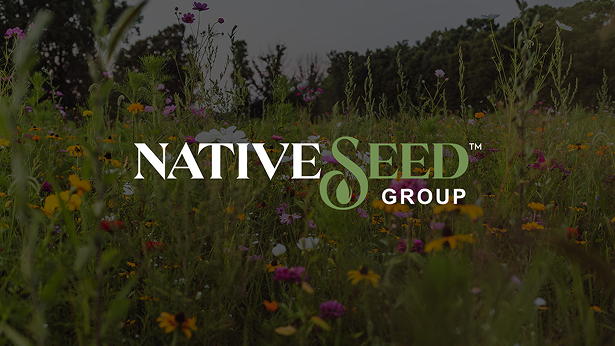 Field of wildflowers with Native Seed Group logo overlayed in white and green text.