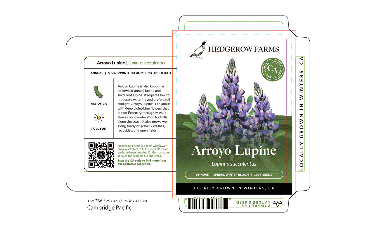 Seed packet design for Arroyo Lupine with purple flowers, includes planting info, a California map, sun icon, QR code, and 'Locally Grown in Winters, CA' text.
