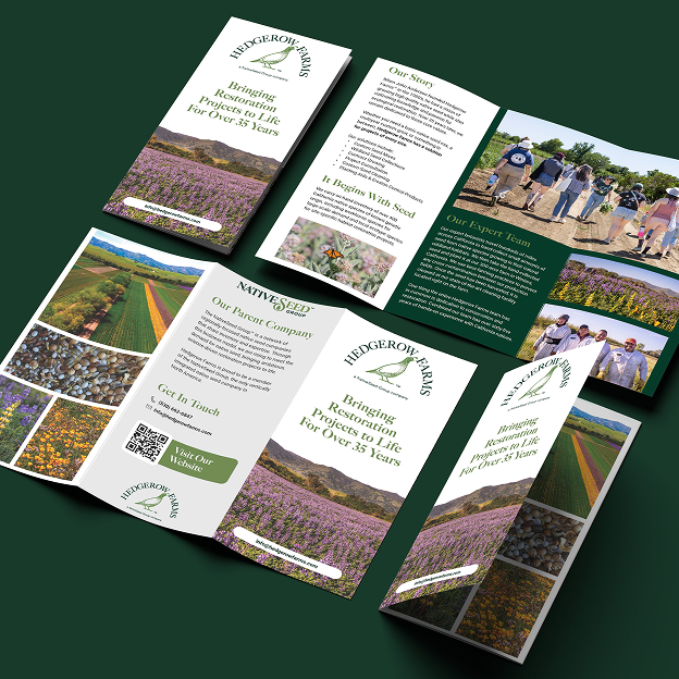 Tri-fold brochure for Hedgerow Farms featuring restoration projects, expert team photos, nature images, and contact info on dark green background.