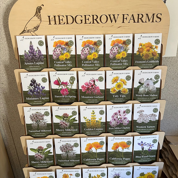 Wooden display rack with seed packets from Hedgerow Farms, featuring various flower seeds including lupine, poppy, milkweed, and goldfields.