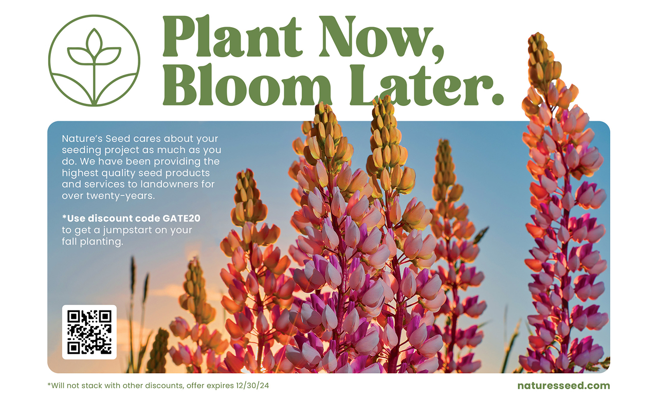 Advertisement for Nature's Seed featuring pink and orange lupine flowers against a blue sky, with text about a discount code GATE20 for fall planting and the website naturesseed.com.