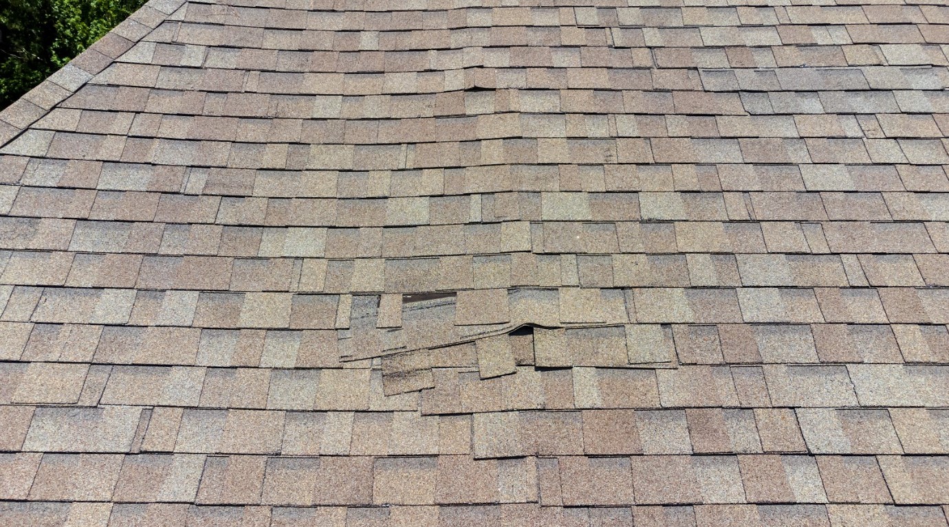 spring roof inspection
