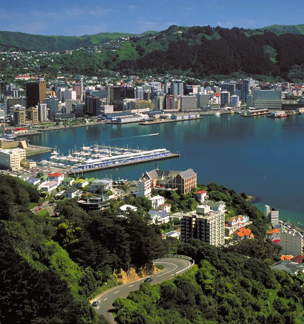 Wellington city skyline aerial view showing harbour, buildings, and green hillsides