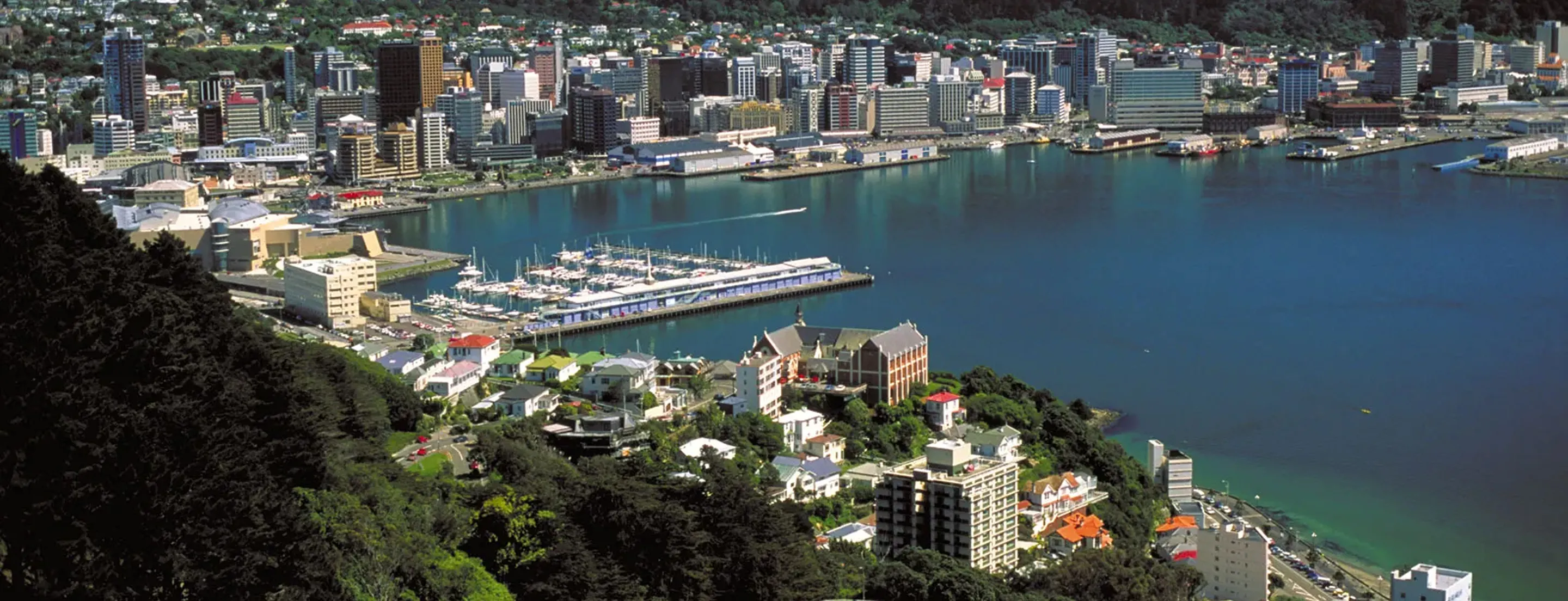 Wellington city skyline aerial view showing harbour, buildings, and green hillsides