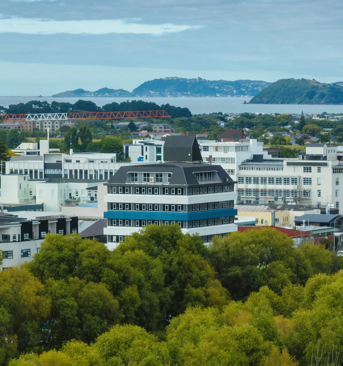 Aerial view of Lower Hutt showing buildings, harbour, and surrounding hills