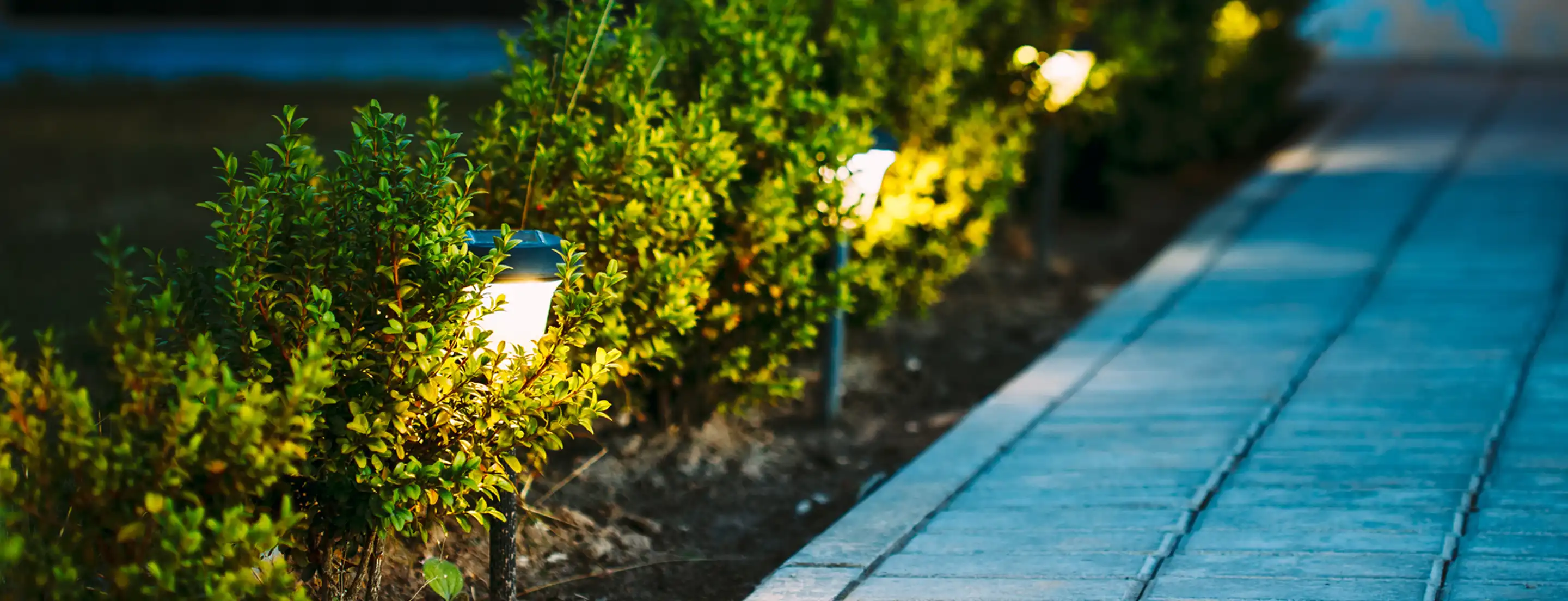 utdoor pathway lighting illuminating garden plants at night