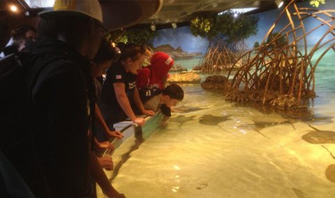 Group of people, including children, leaning over a shallow indoor aquarium touch pool with visible underwater plants and sandy bottom.