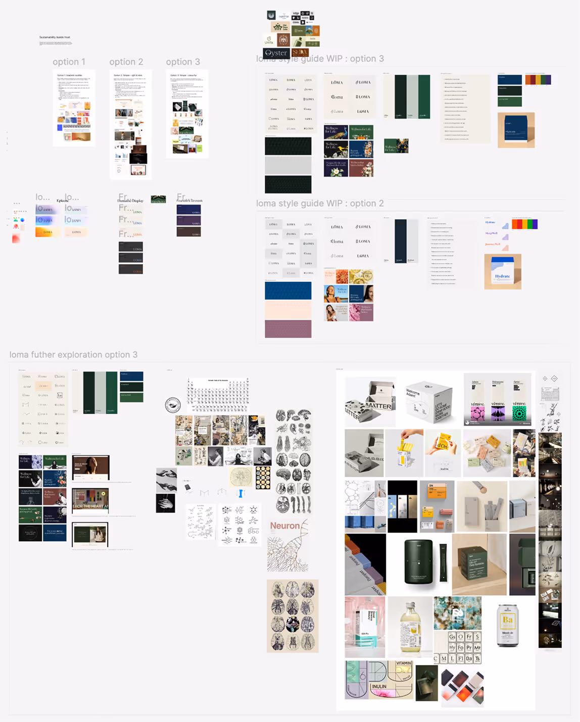 Early iterations of Loma