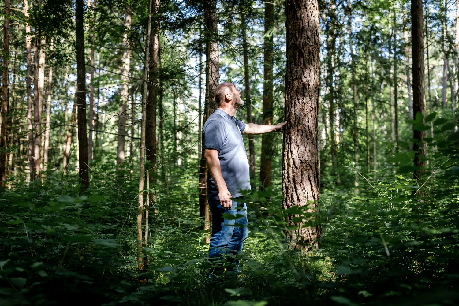 AHA Mitarbeiter im Wald auf der Suche nach Holz