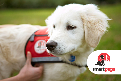 Big Dog is proud to give back to Smart Pups