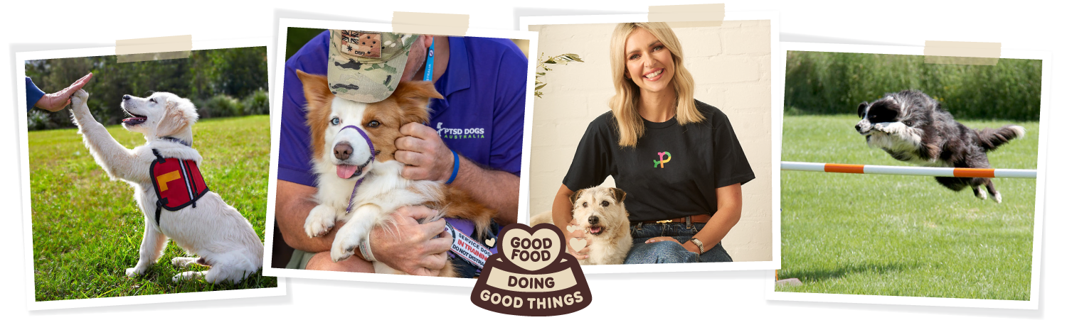 Big-Dog-giving-back-banner-Smart-Pups-PTSD-Dogs-Petstock-Foundation-PADS