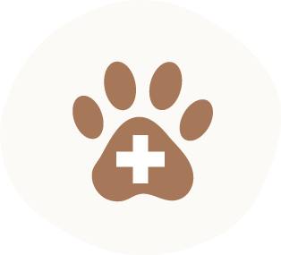 an icon representing Reduced incidence of disease and degenerative disorders