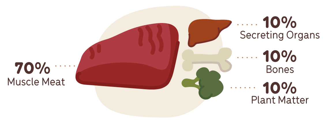 diagram of the BARF model - 70% muscle meat, 10% secreting organs/offal, 10% crushed real bone, 10% plant mattera