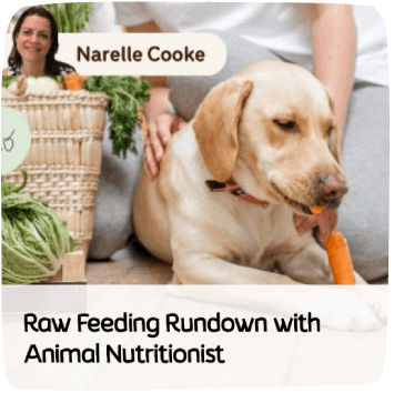 an image link to blog article titled "Raw Feeding Rundown with Animal Nutritionist" by Narelle Cooke