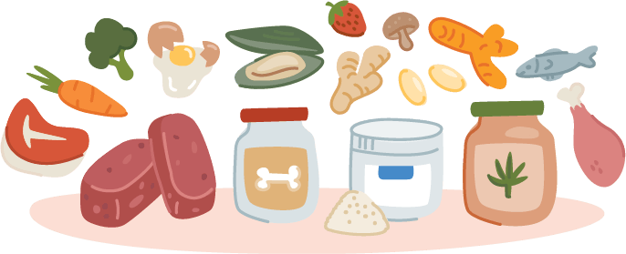 An integrative approach to the treatment of kidney disease in pets using diet, supplements and herbal medicines