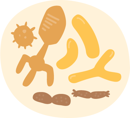 gut microbiome