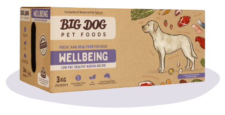 Big Dog Pet Foods - Wellbeing [Scientific Range]