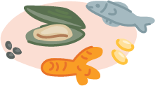 an illustration of supplements including green-lipped mussels, curcumin, omega 3 and glucosamine/chondoitin sulphate