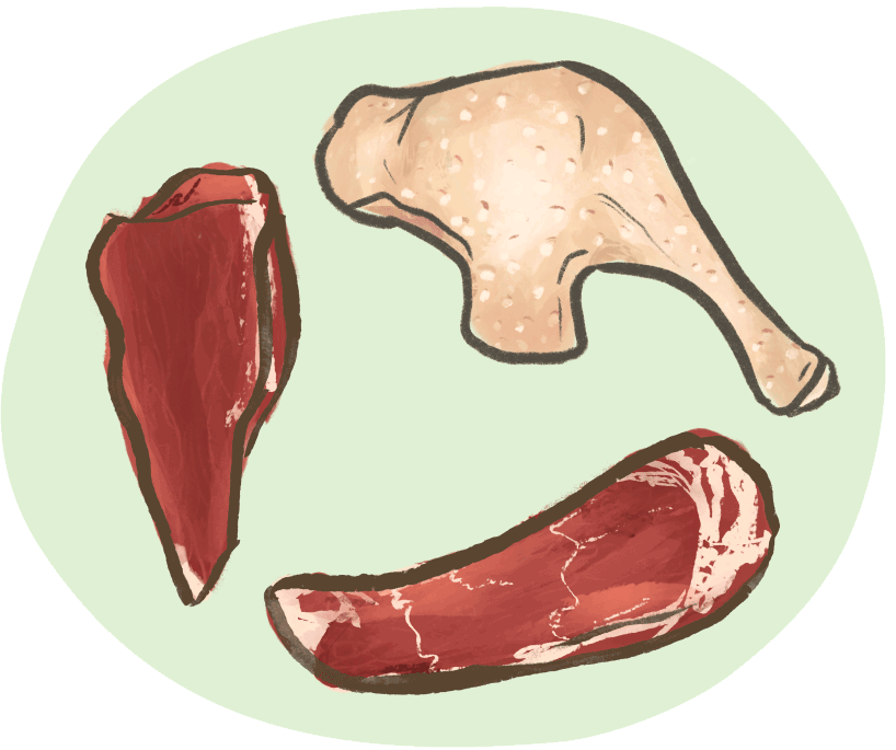 an illustration of leaner cuts of protein to aid the slower metabolism of senior dogs