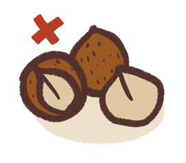 Macadamia Nuts