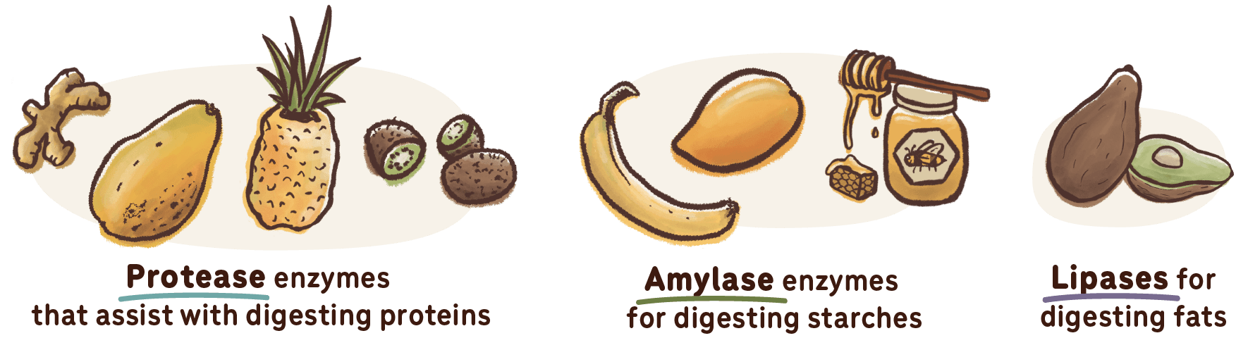 foods that contain digestive enzymes