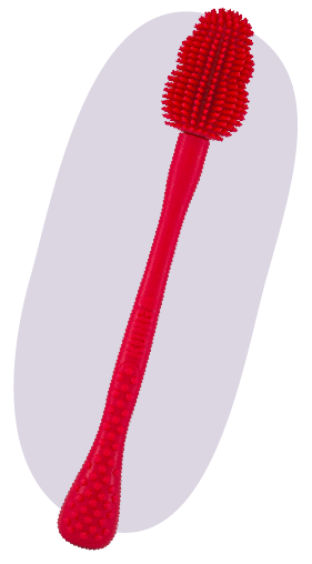 KONG Cleaning Brush