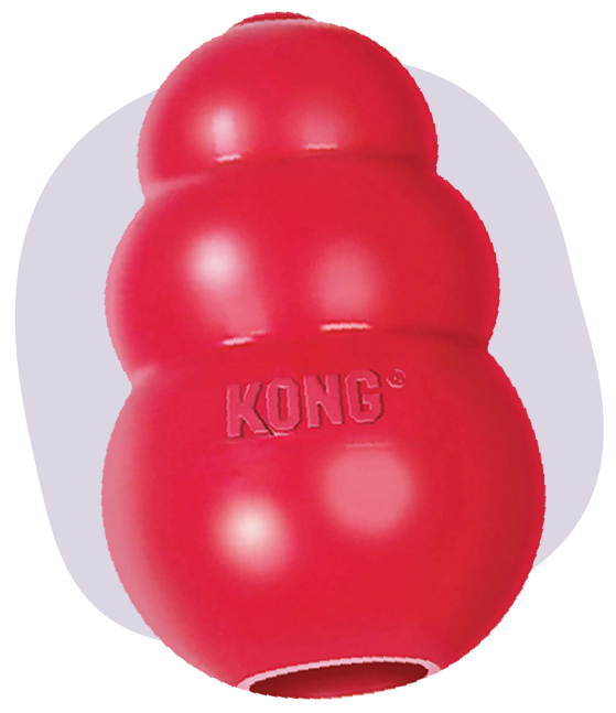 KONG Classic