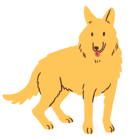 german shepherd dog