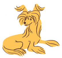 chinese crested dog