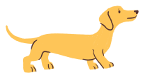 daschund illustration