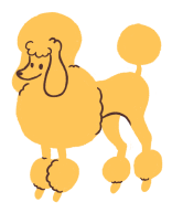 poodle