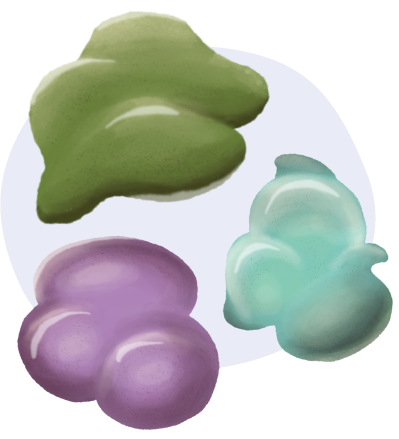 digestive enzymes - amulase, protease & lipase