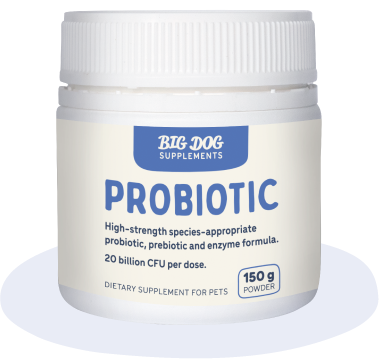 Big Dog Probiotic, 20 billion CFU per dose