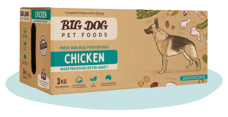 Big Dog Chicken Raw Dog Food