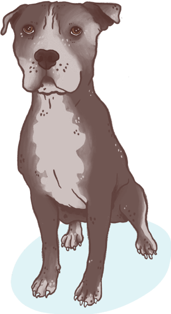 illustration of a shelter dog