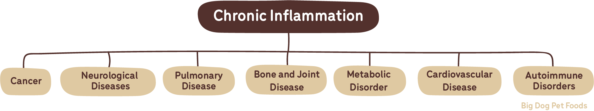 an infographic about the affects of chronic inflammation