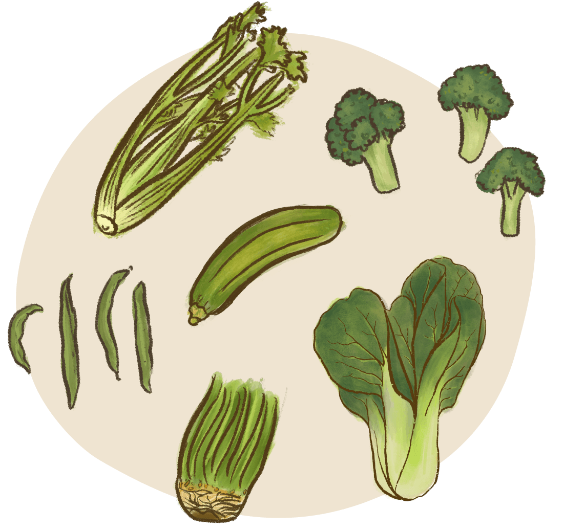 wheat grass broccoli bok choy celery green beans zucchini