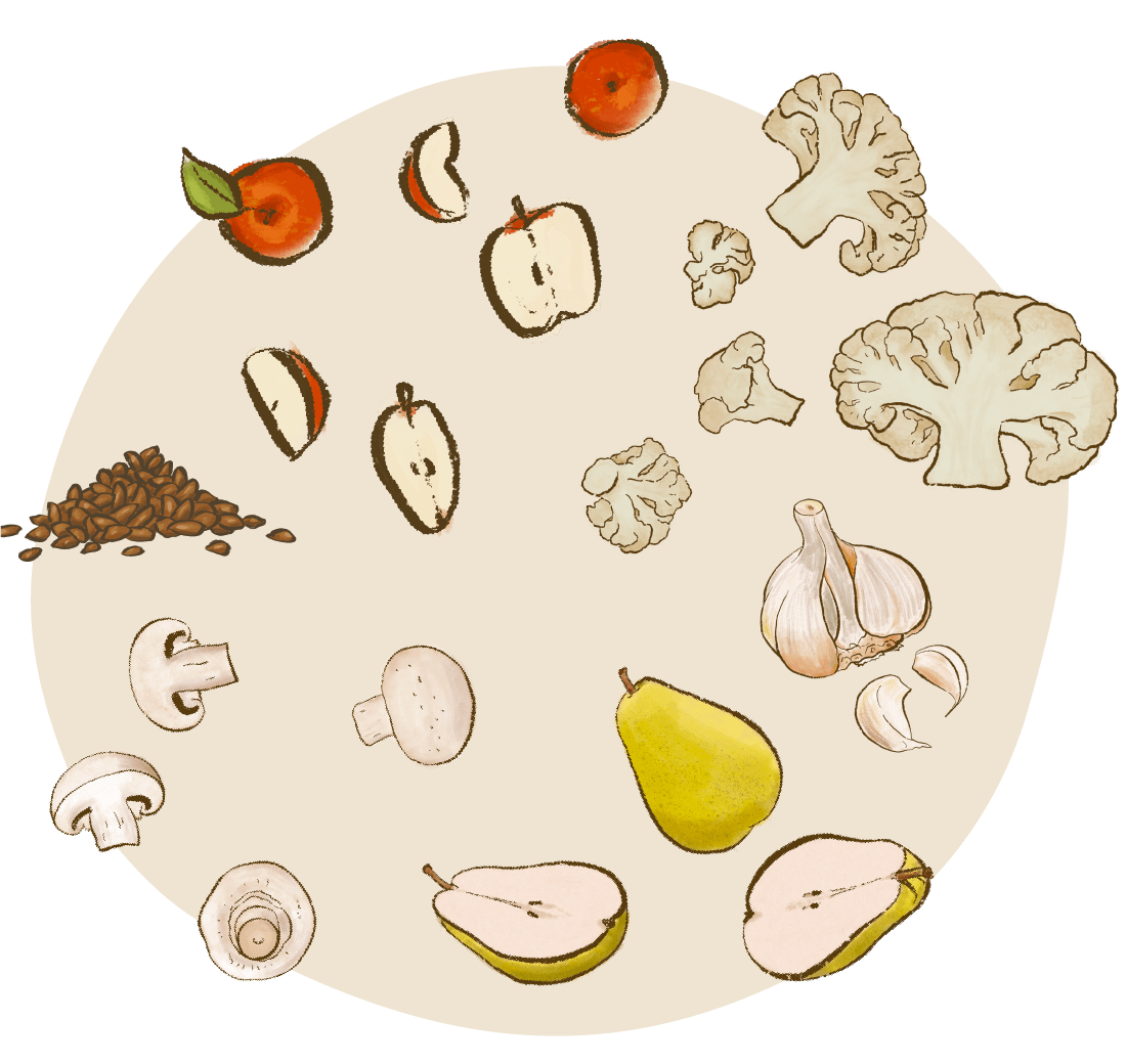 apples cauliflower garlic mushrooms pears flaxseeds