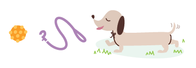 Dog Exercise